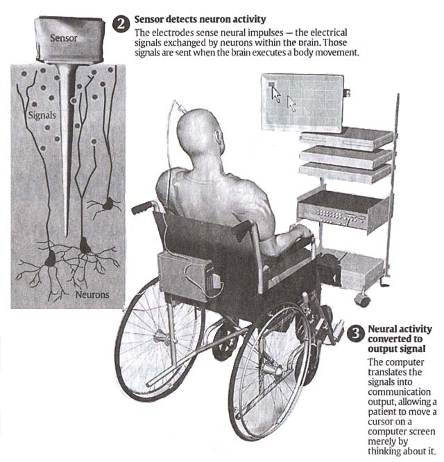 connecting brains to computers